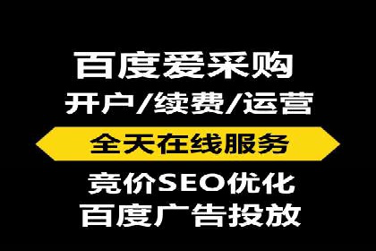 SEM主管的角色与职责：成功案例解析